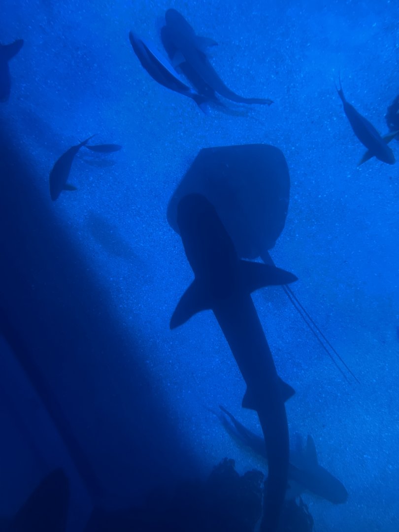 southern sea (view from top) (2)