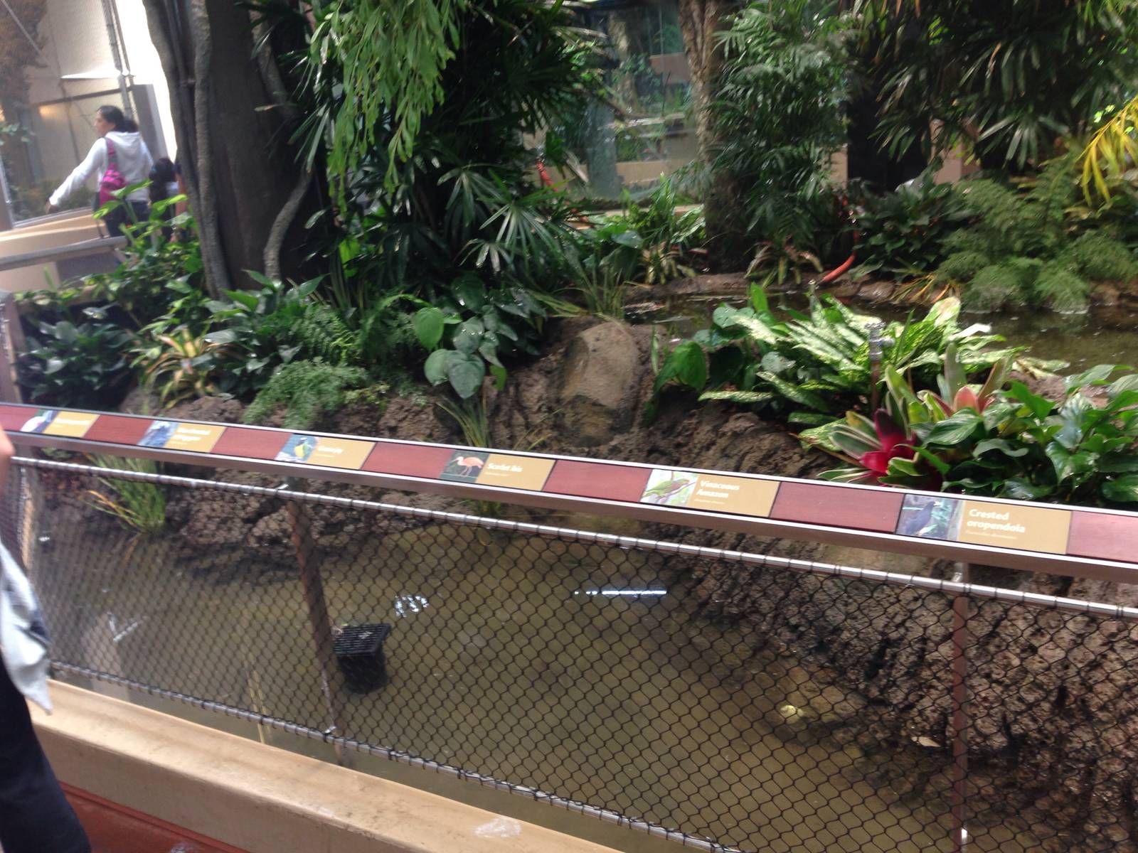 Southern side of the renovated tropical rainforest exhibit