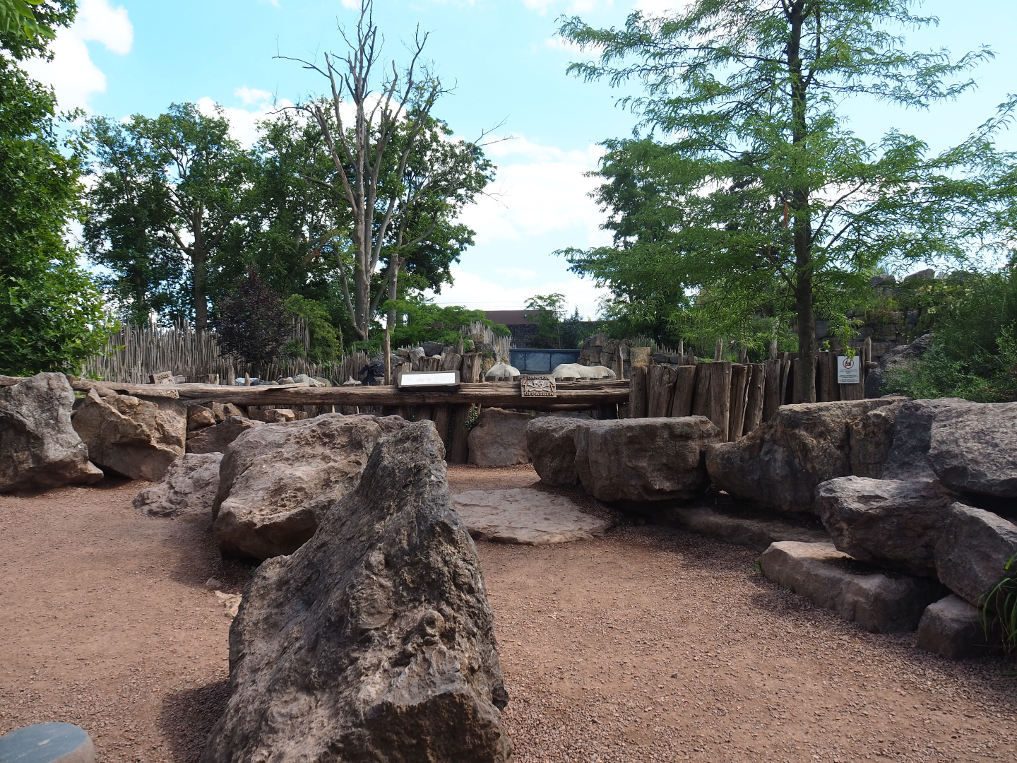 Southern square-lipped rhinoceros and Northern warthog viewing area, 2022-06-28