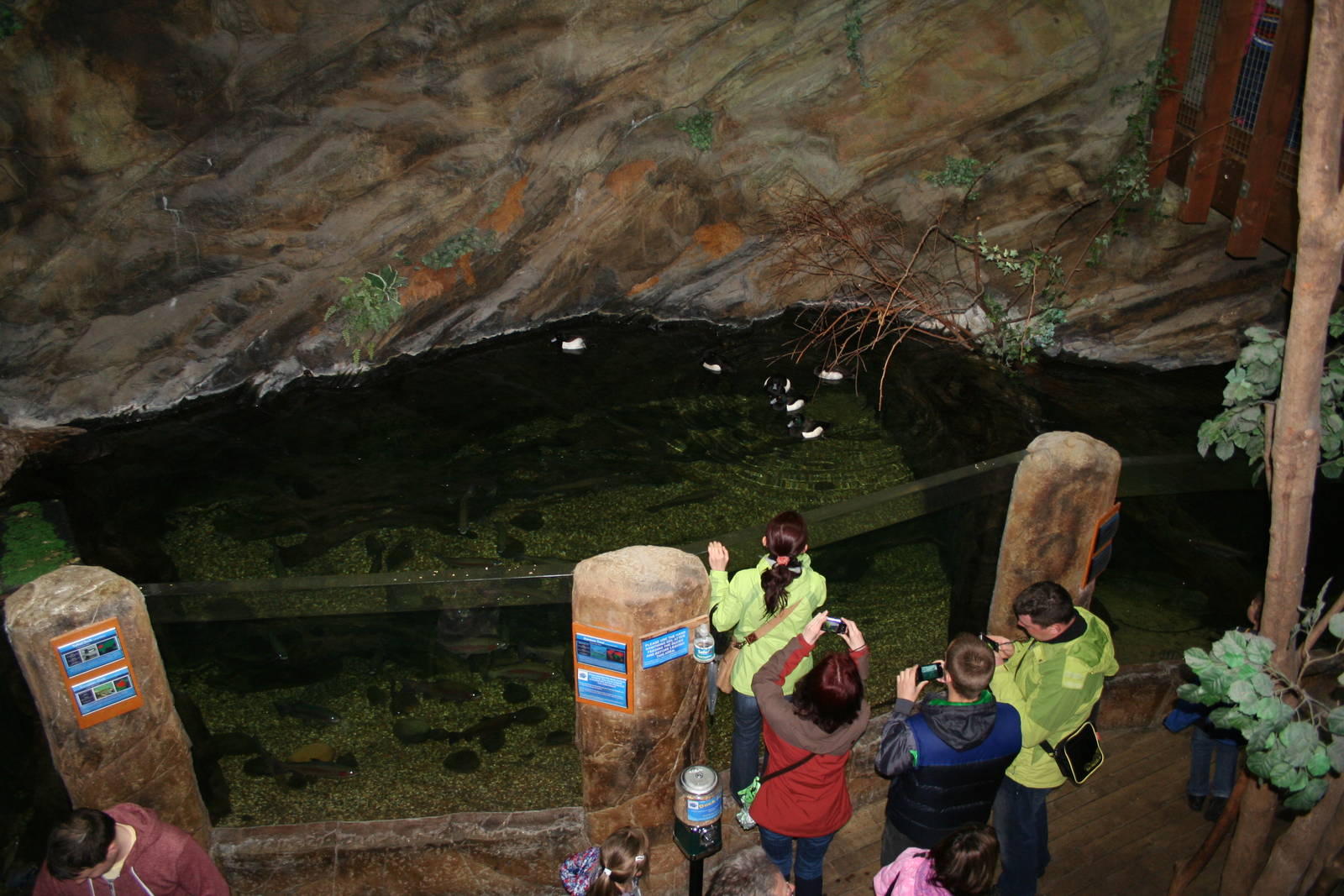 Southern Streams exhibit