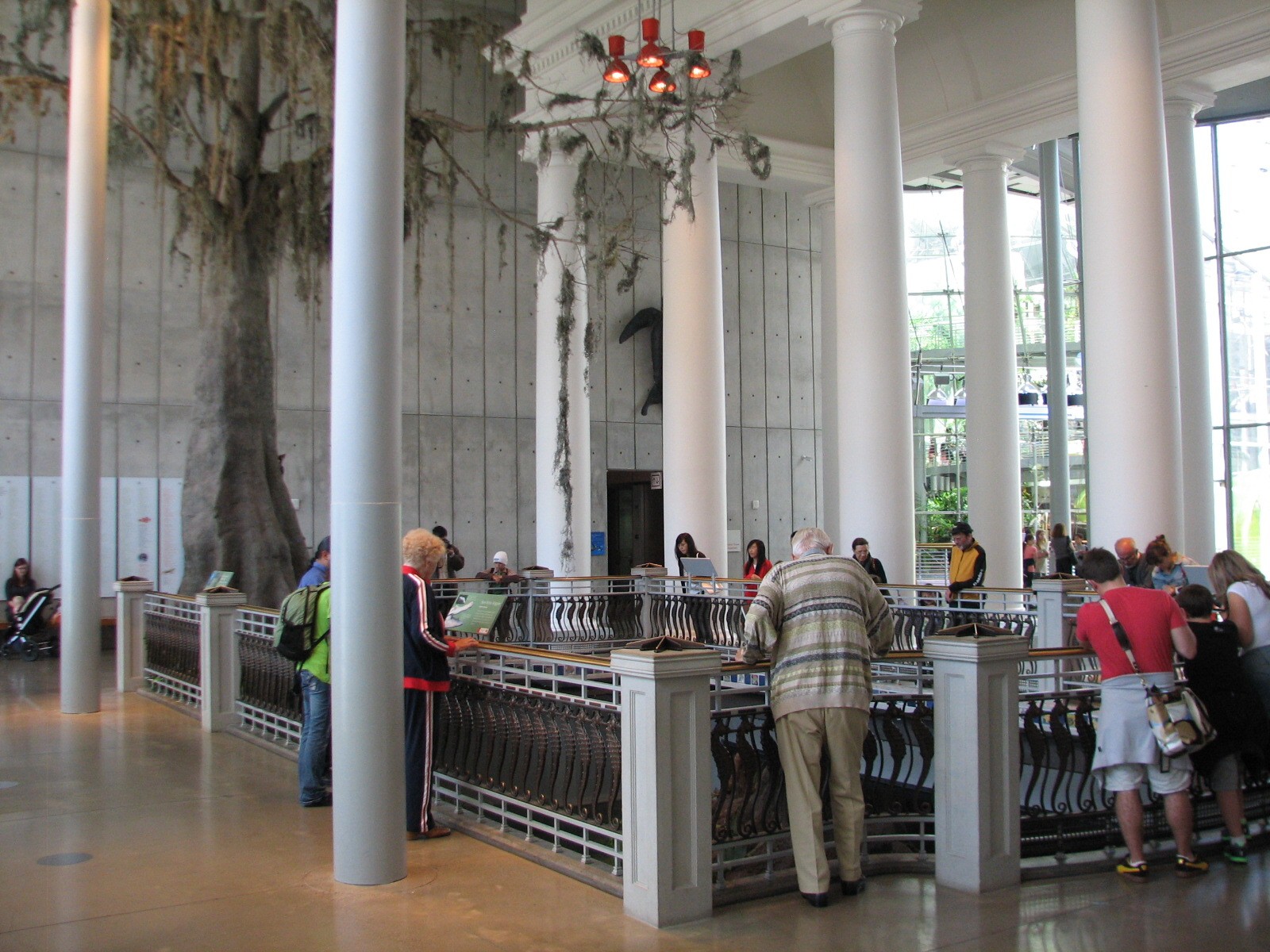 Southern Swamp - Lobby