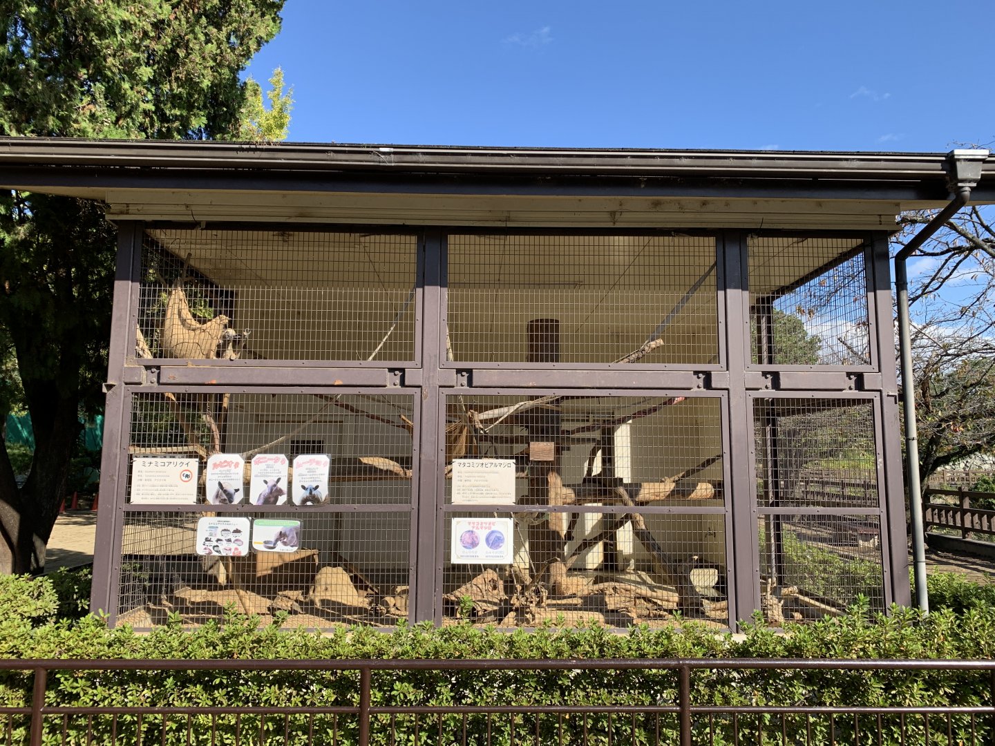 Southern Tamandua Enclosure (Himeji City Zoo)
