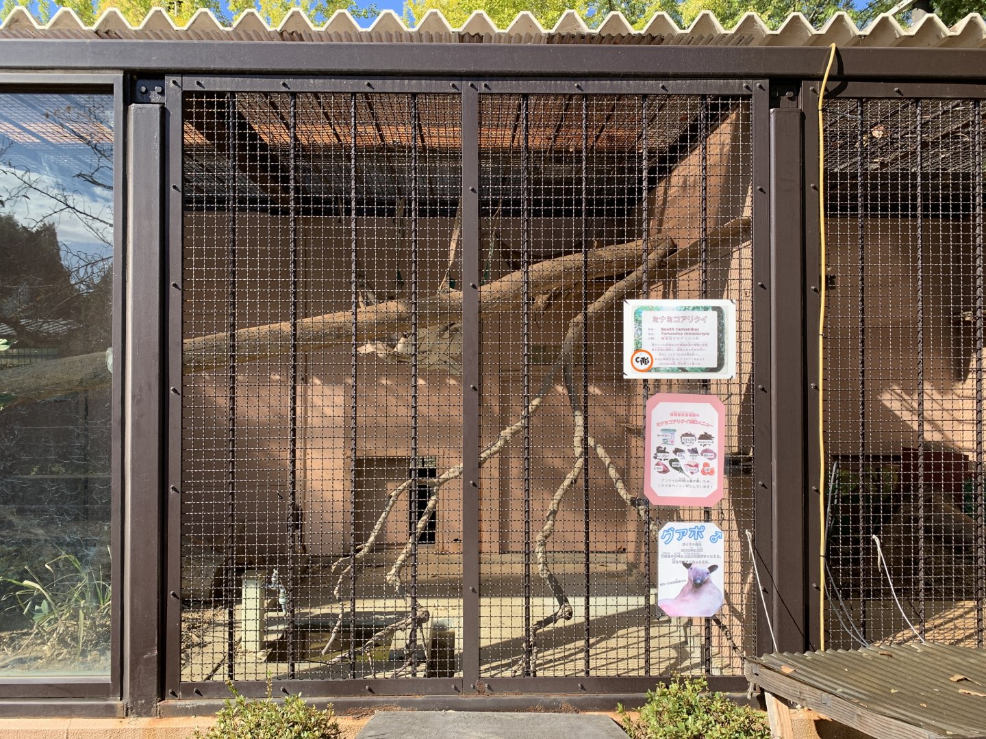 Southern Tamandua Enclosure (Himeji City Zoo)