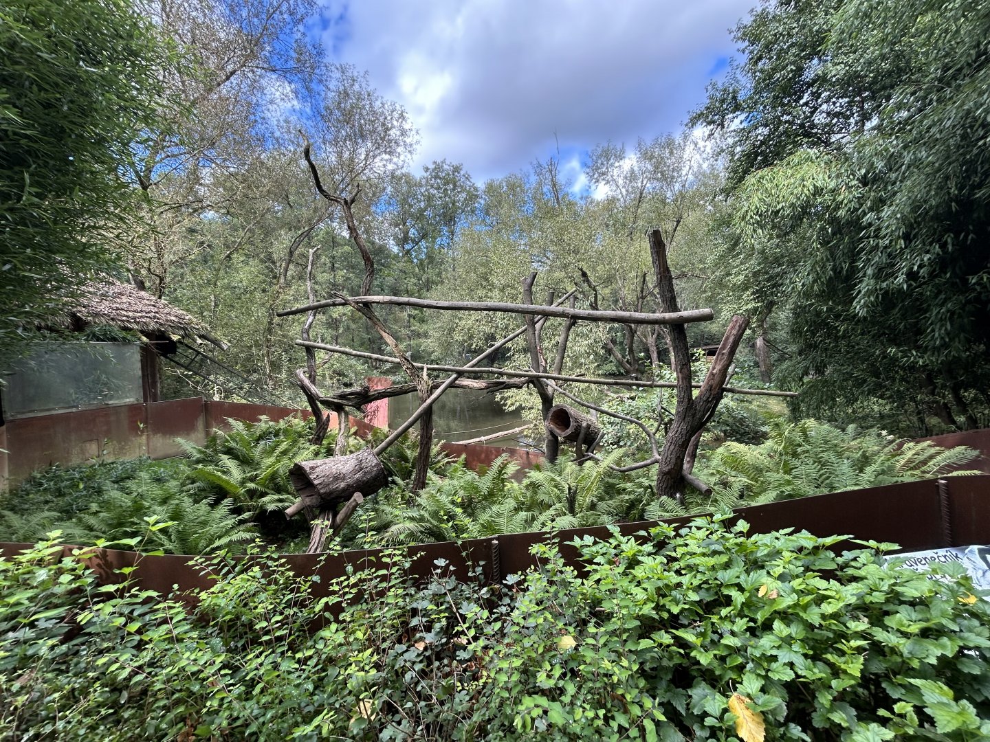 Southern Tamandua Exhibit