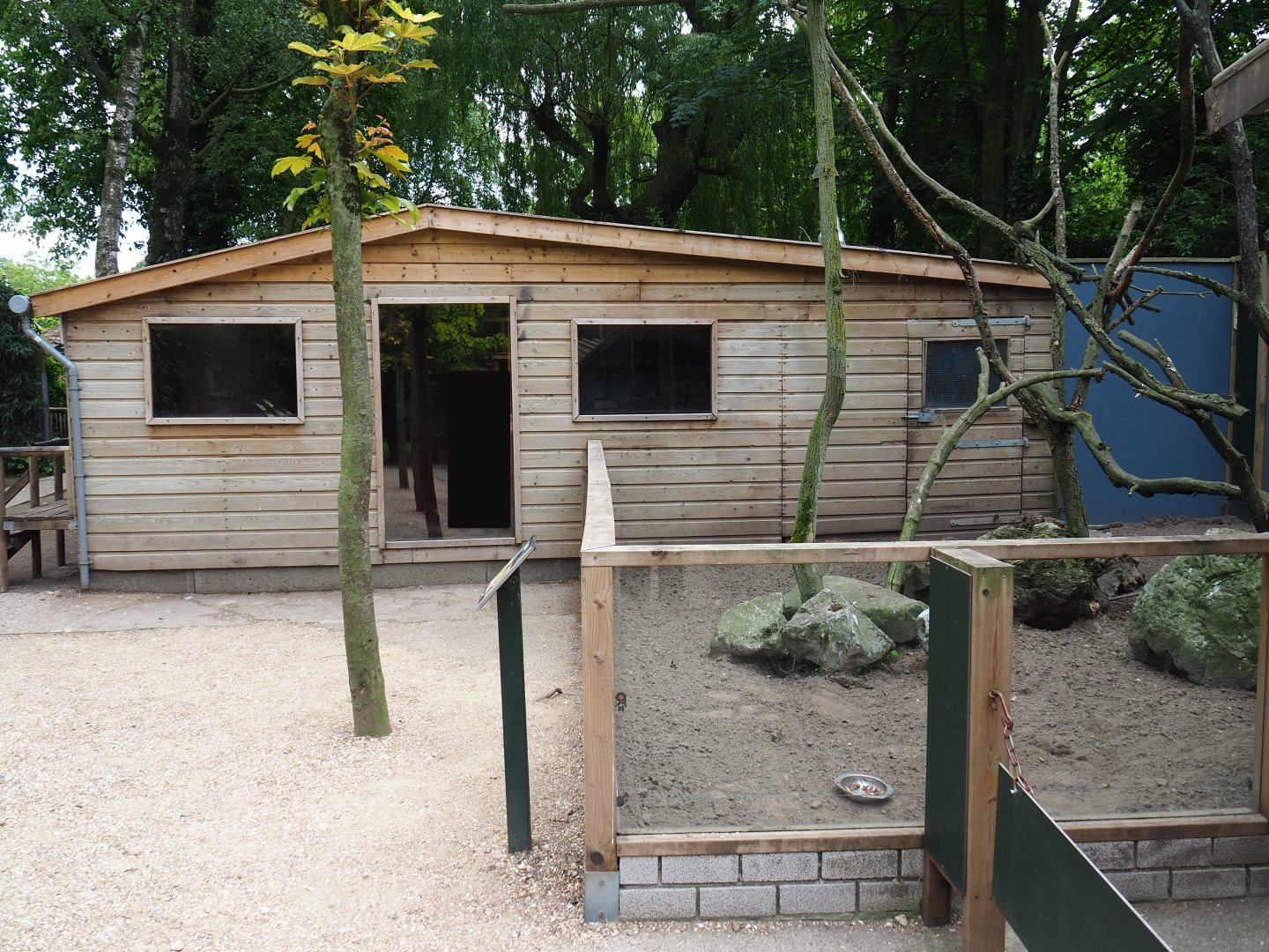 Southern tamandua house and striped skunk/Southern tamandua exhibit, 2019-05-25