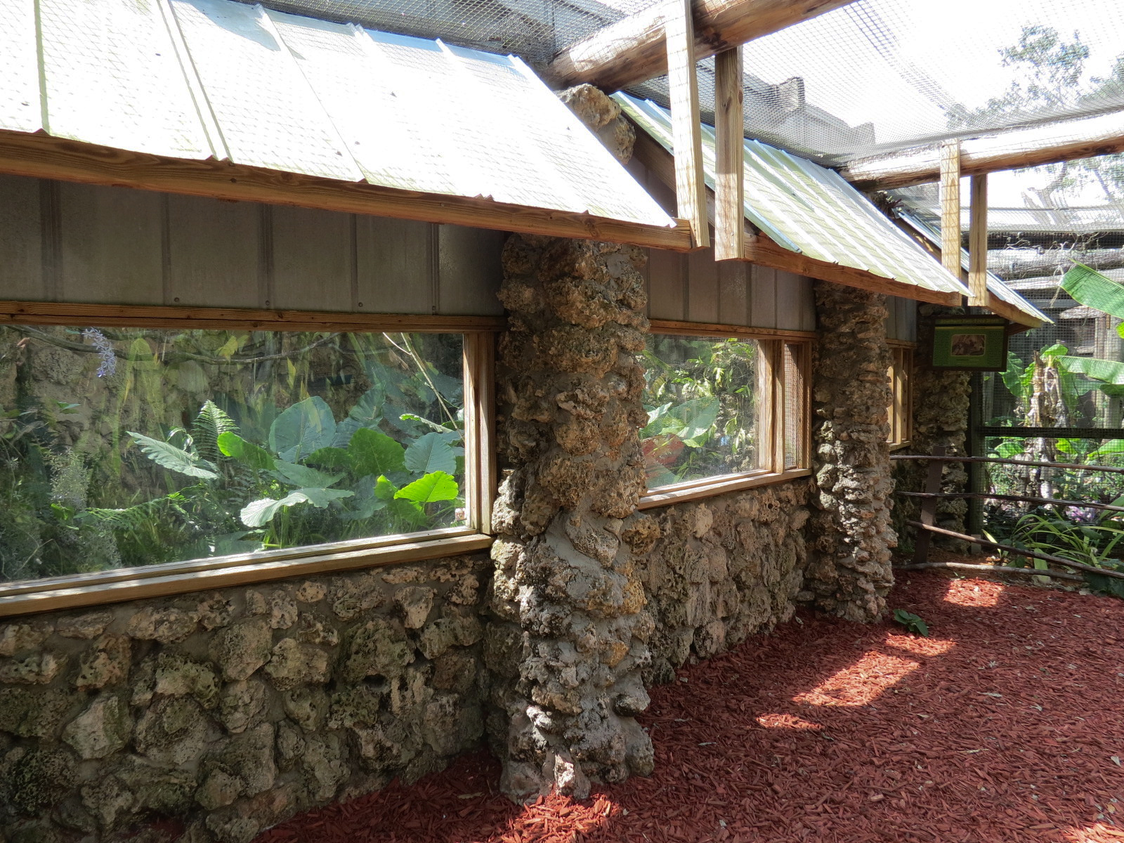 Southern Two-toed Sloth Exhibit