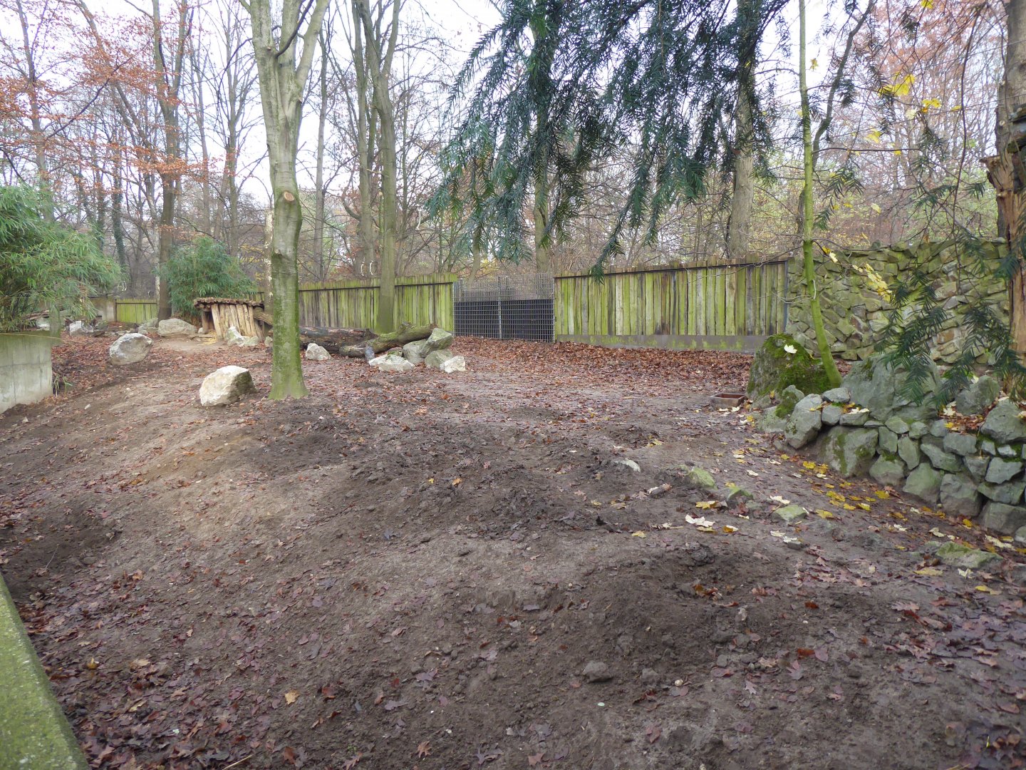 Southern white-lipped peccary enclosure 011219