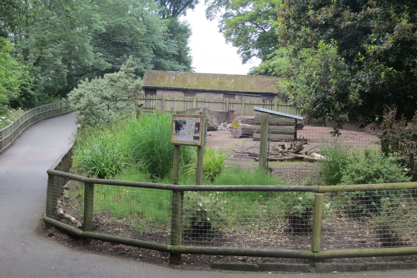 Southern white-lipped peccary enclosure 230619