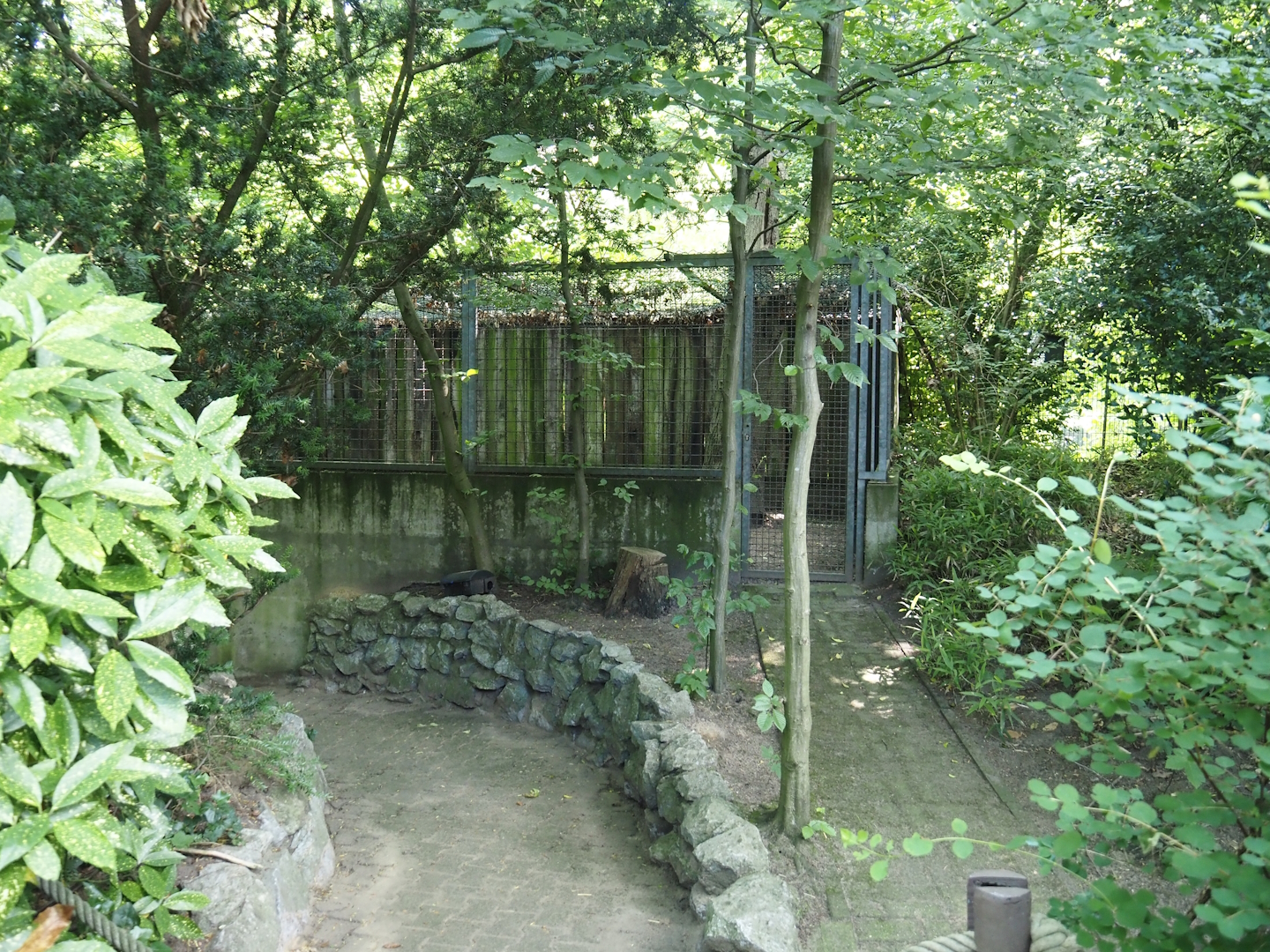 Southern white-lipped peccary holding area, 2024-06-08