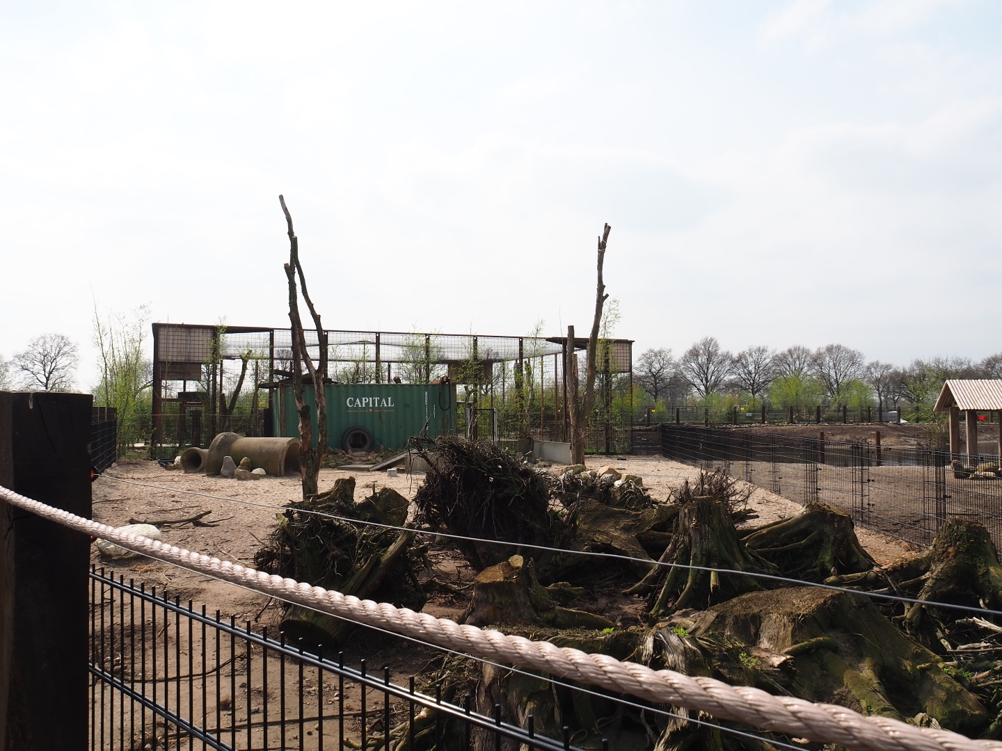 Southern white-lipped peccary pen, 2019-04-06