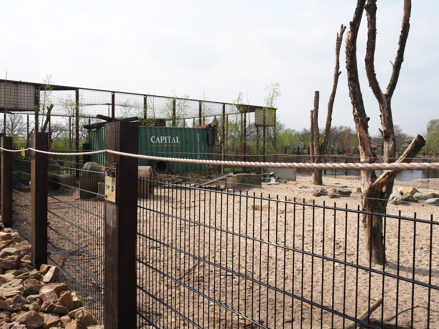 Southern white-lipped peccary pen, 2019-04-06