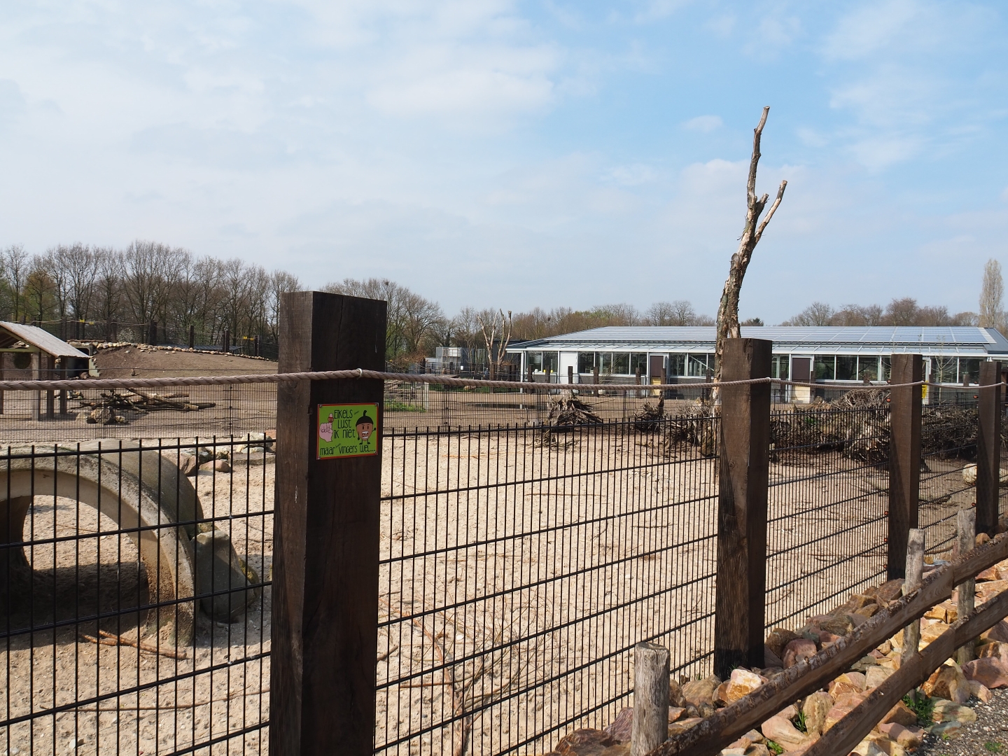 Southern white-lipped peccary pen, 2019-04-06