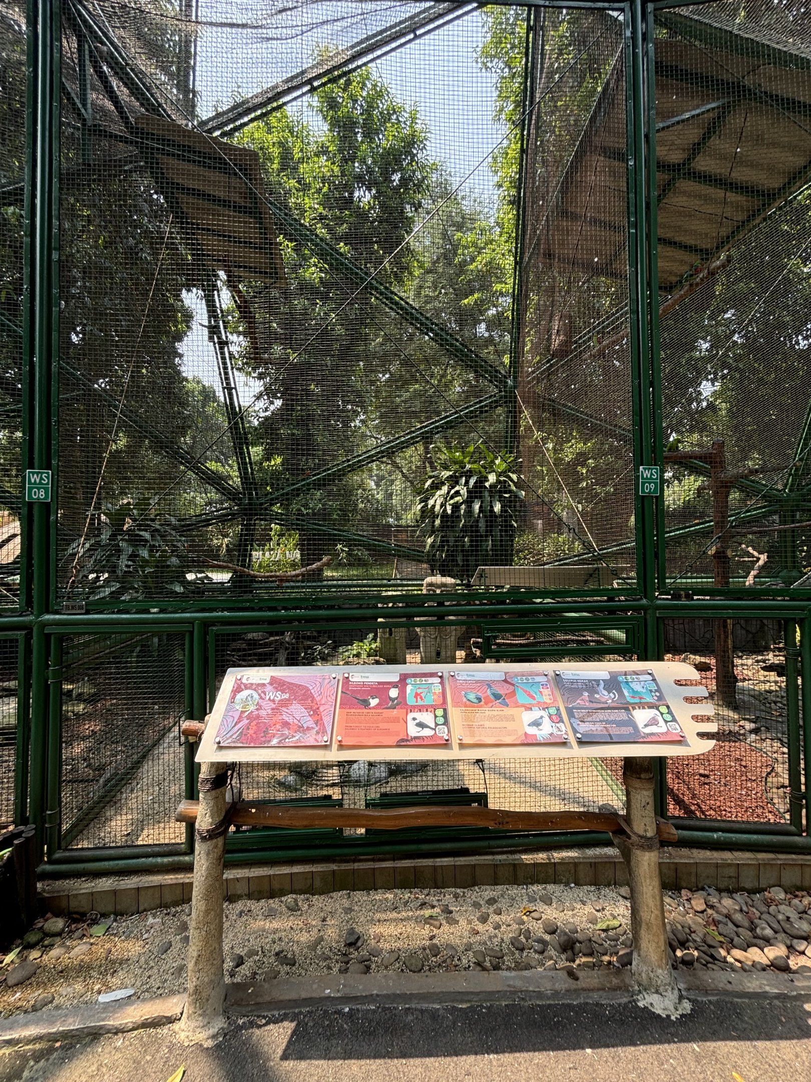 Southern White-necked Myna/Nicobar Pigeon/Red-collared Dove Aviary