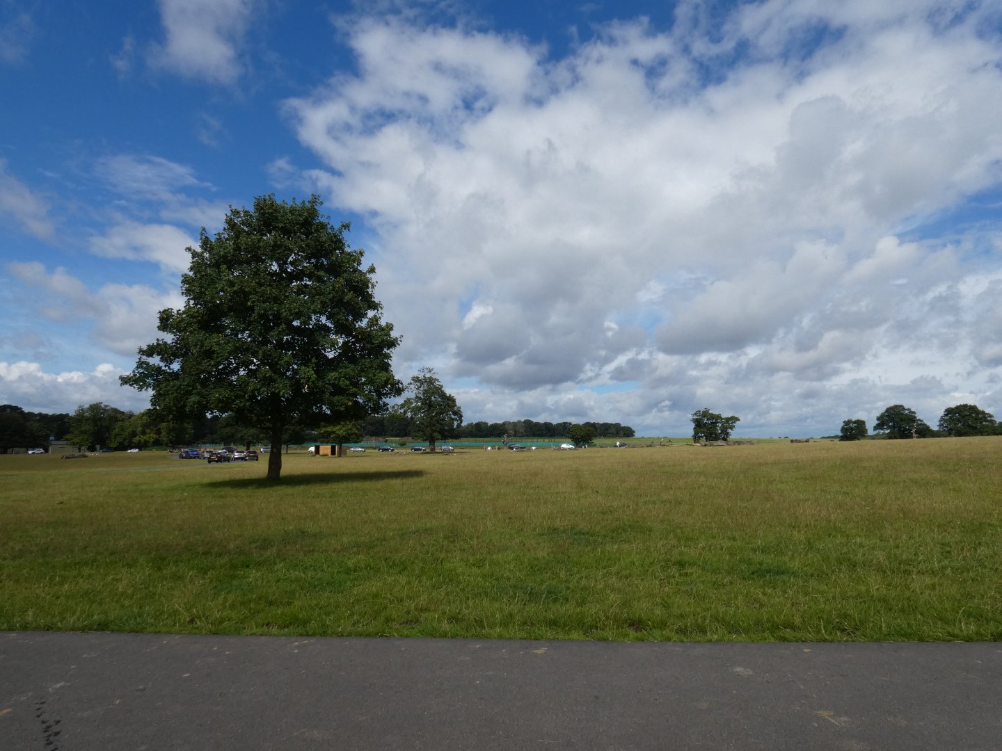 Southern White Rhino and Antelope drive-through enclosure