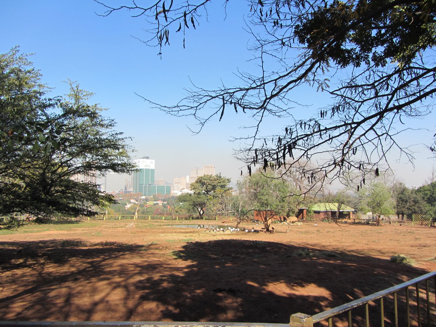 Southern White Rhino/Burchell's Zebra Yard