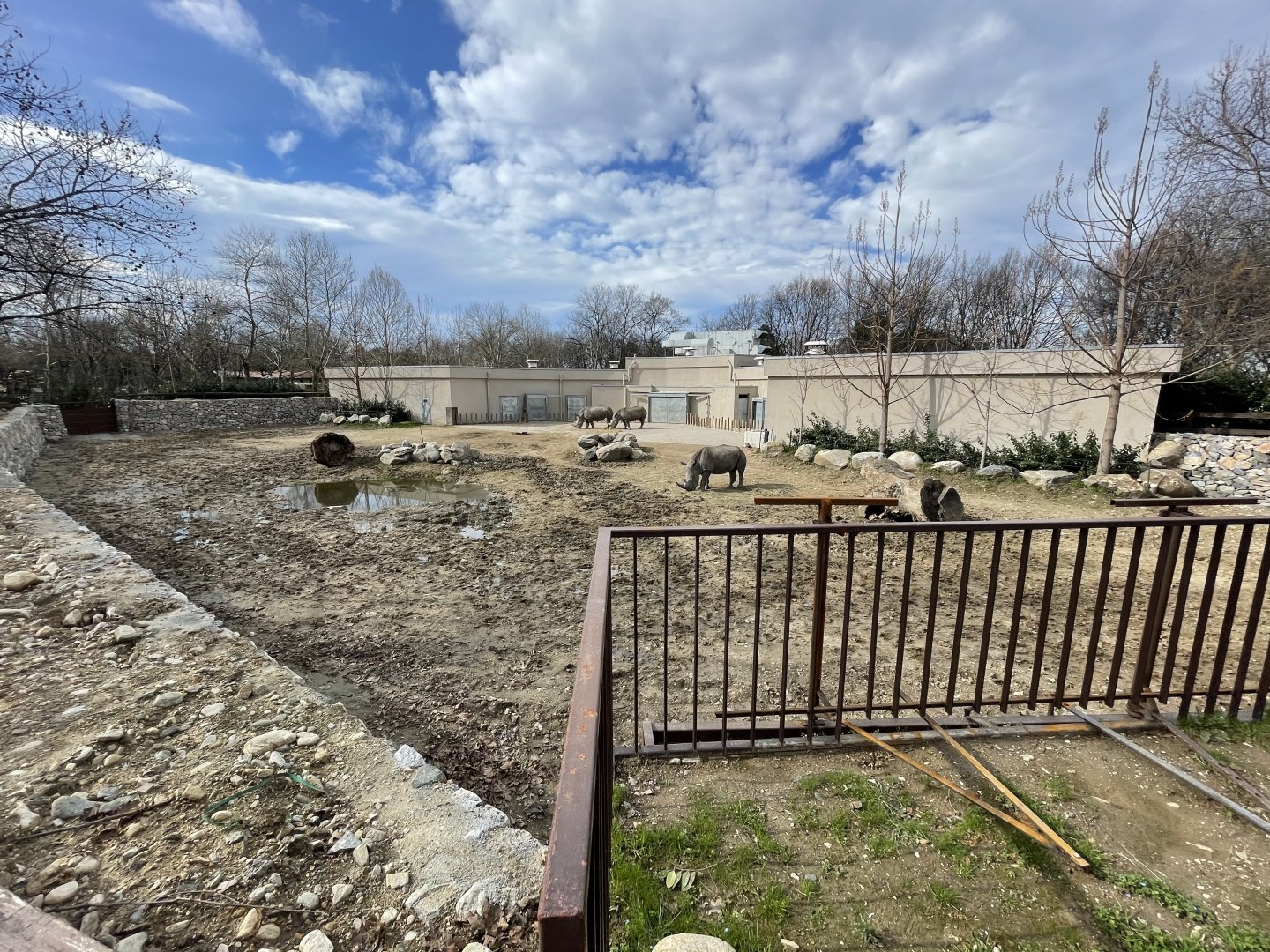 Southern white rhino enclosure