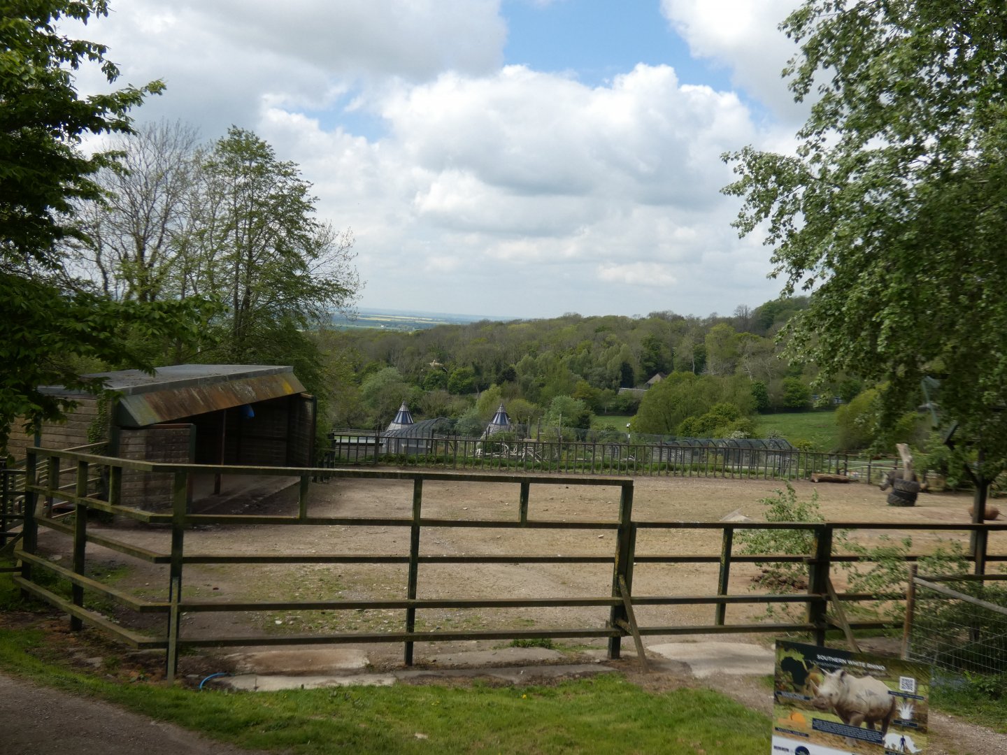 Southern white rhino enclosure