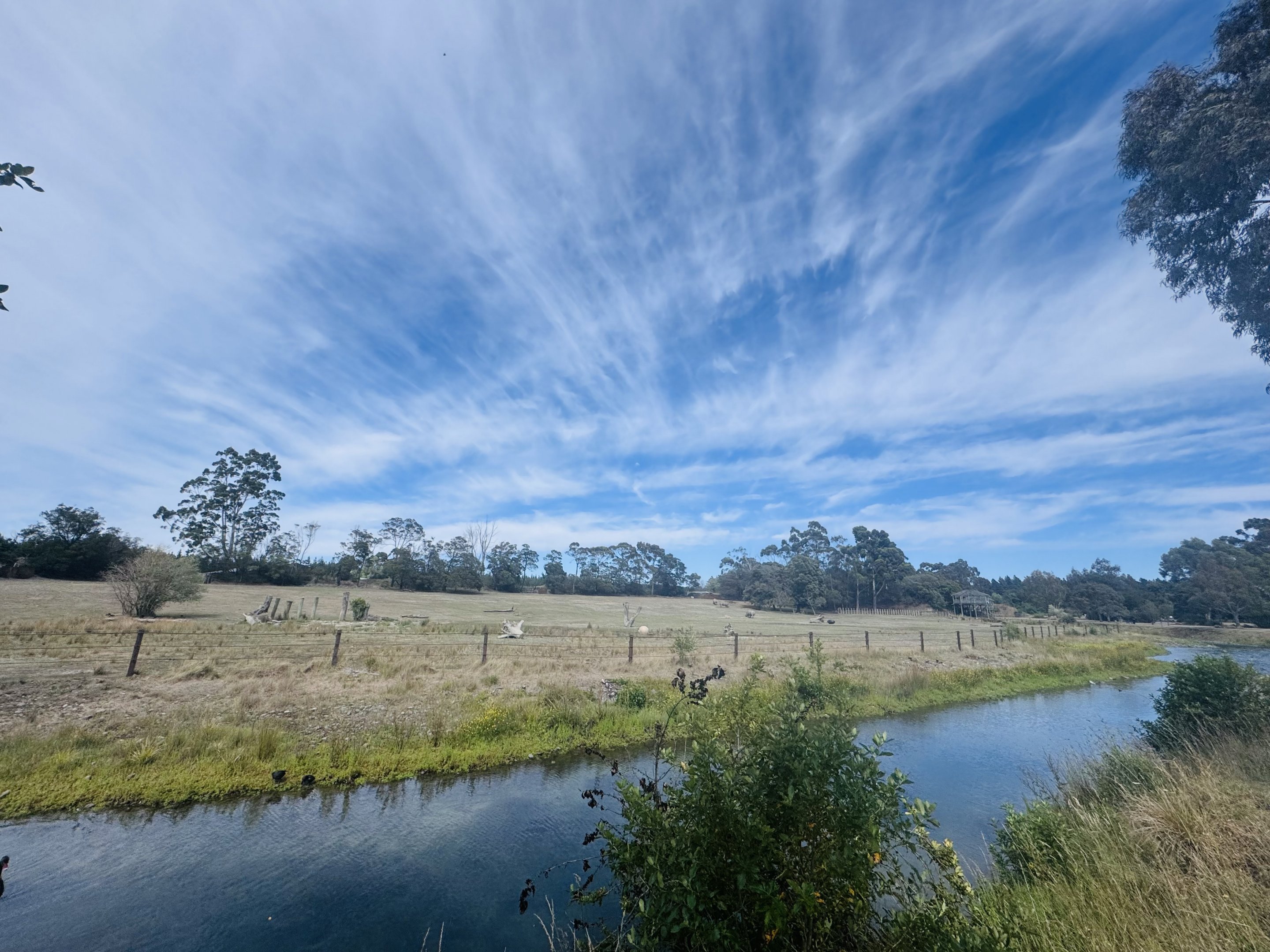 Southern White Rhino enclosure