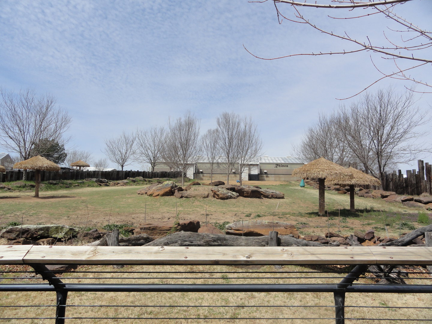 Southern White Rhino Exhibit - Middle