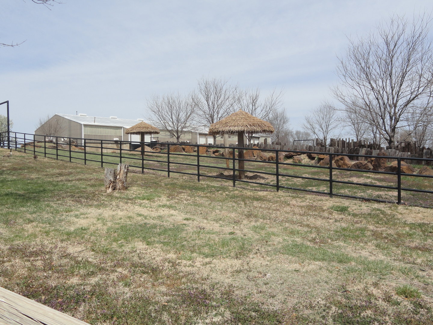 Southern White Rhino Exhibit - South