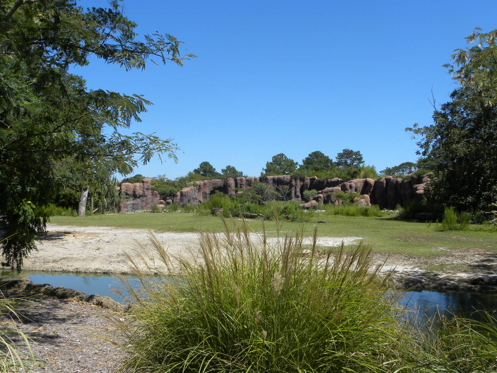 Southern White Rhino/Grant's Zebra Exhibit