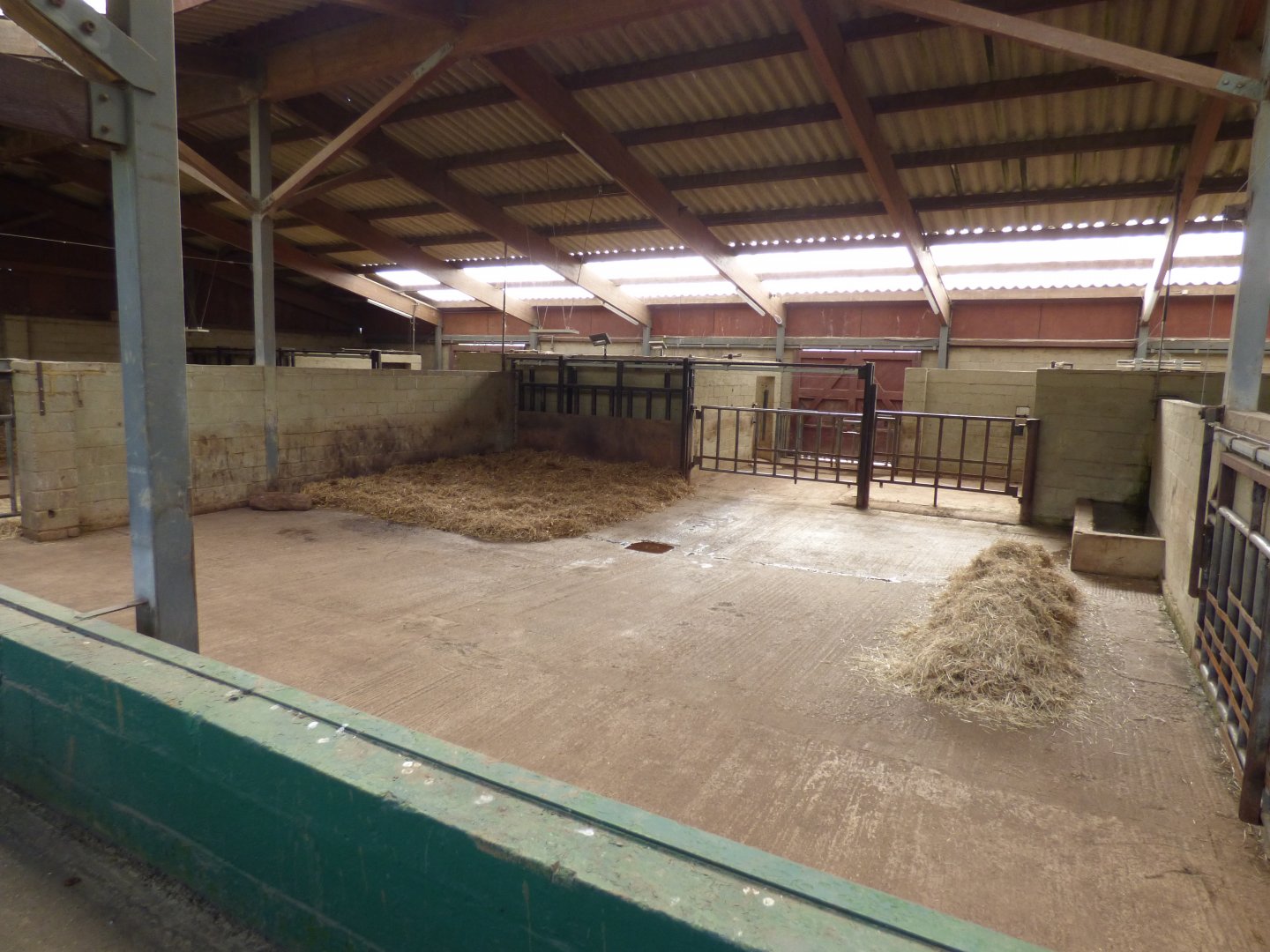 Southern White Rhino Indoor