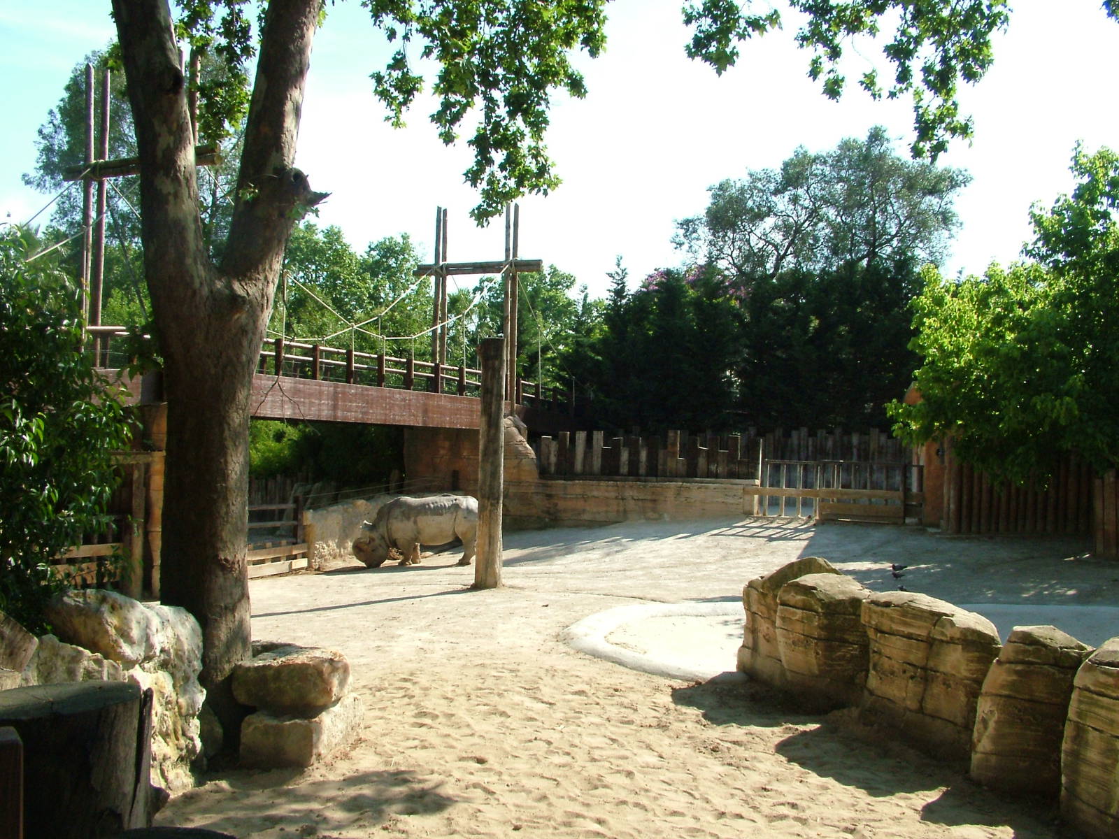 Southern White Rhino Paddock at Lisbon Zoo, 24/05/11