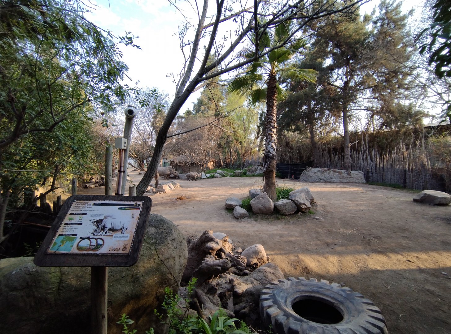 Southern white rhino second exhibit - Buin zoo
