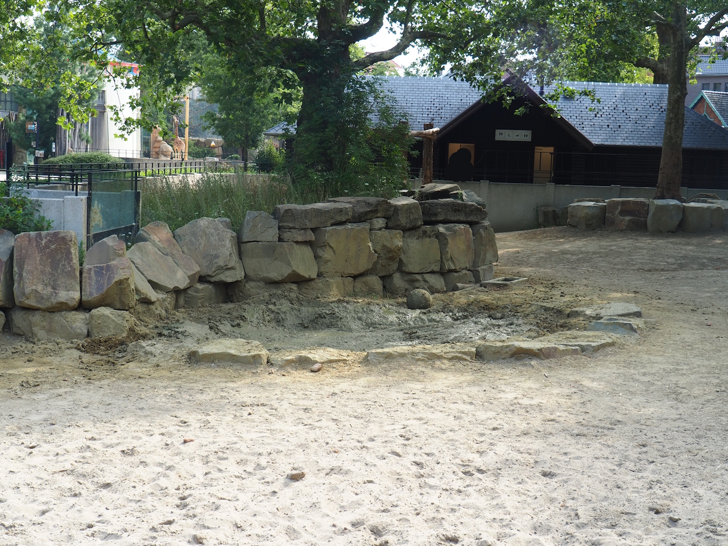Southern white rhinoceros and Grant's zebra paddock - Mud wallow, 2023-07-22