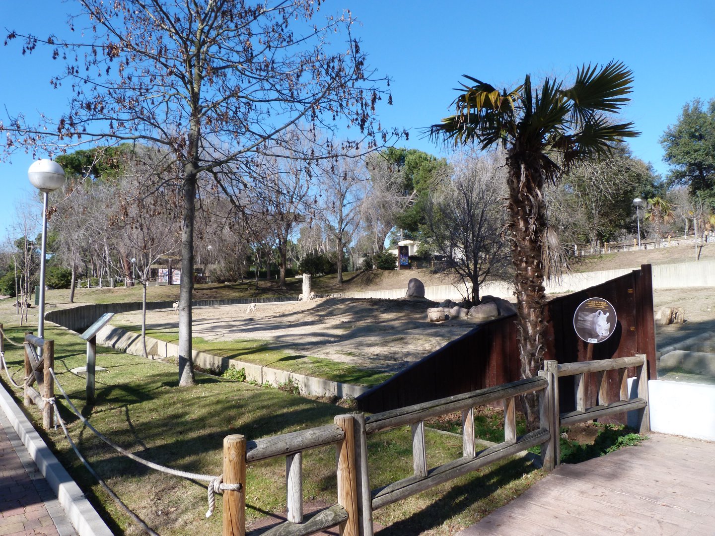 Southern white rhinoceros and Saharan dorcas gazelle exhibit -Zoo Aquarium de Madrid (2025)