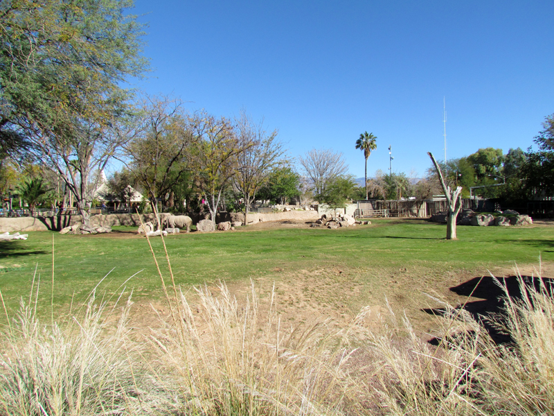 Southern White Rhinoceros and Speke's Gazelle Exhibit