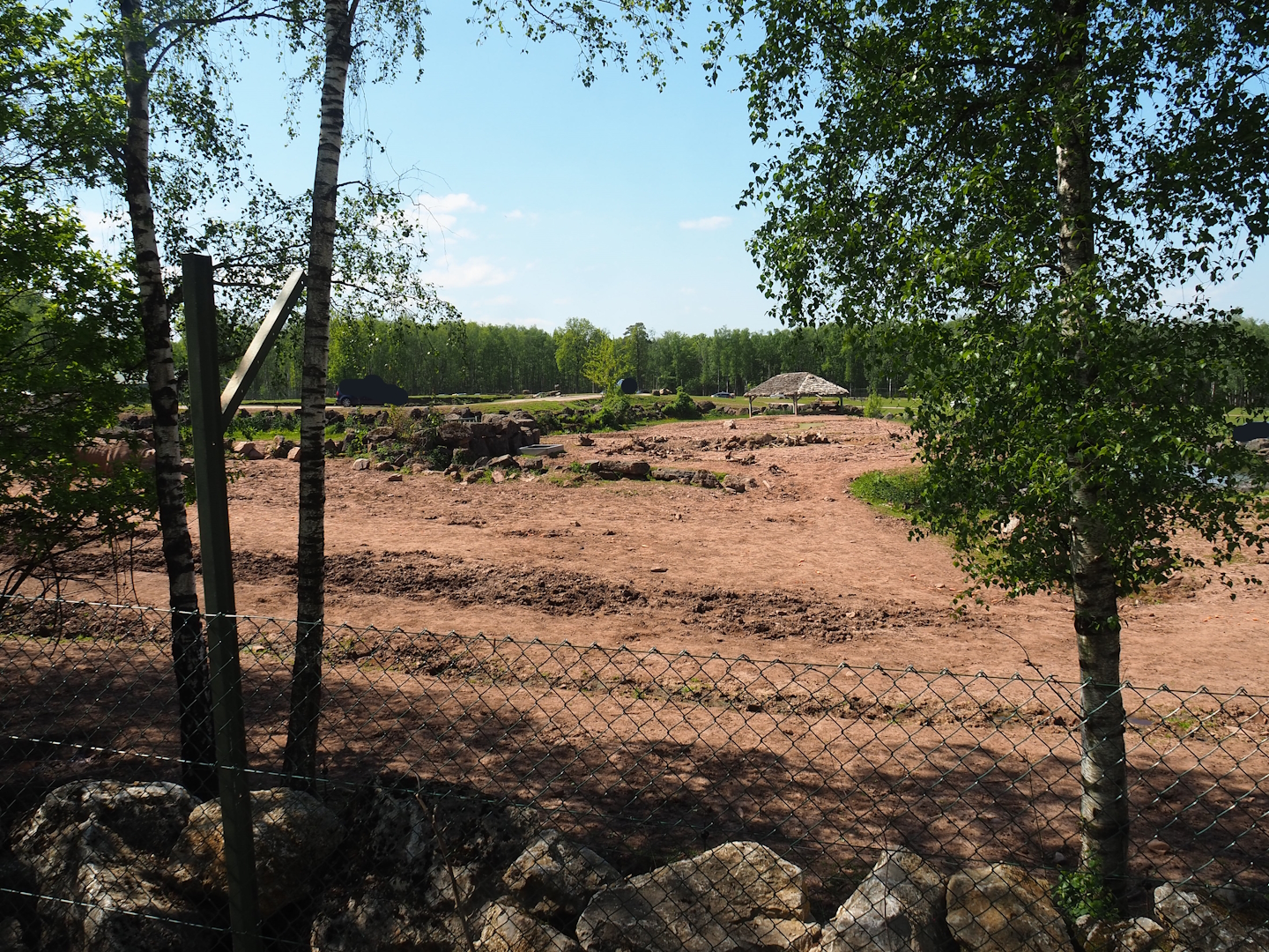 Southern white rhinoceros and Warthog paddock, 2023-05-19