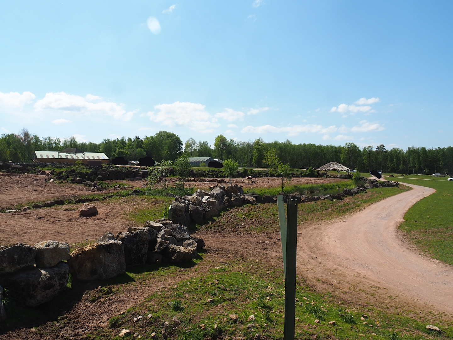 Southern white rhinoceros and Warthog paddock,  2023-05-19