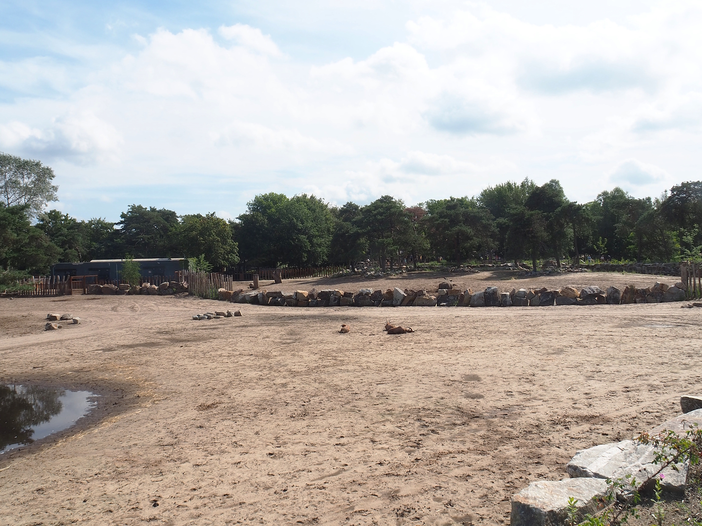 Southern white rhinoceros barn and Southern white rhinoceros separation exhibit, 2023-08-15