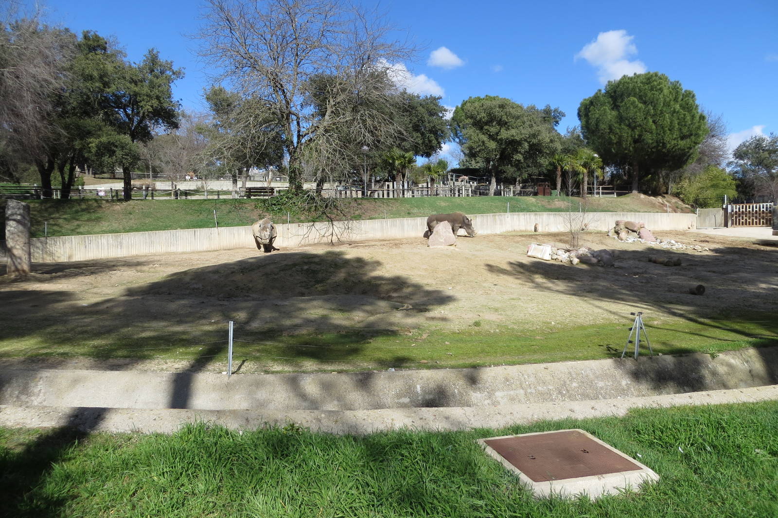 Southern White Rhinoceros enclosure 150216