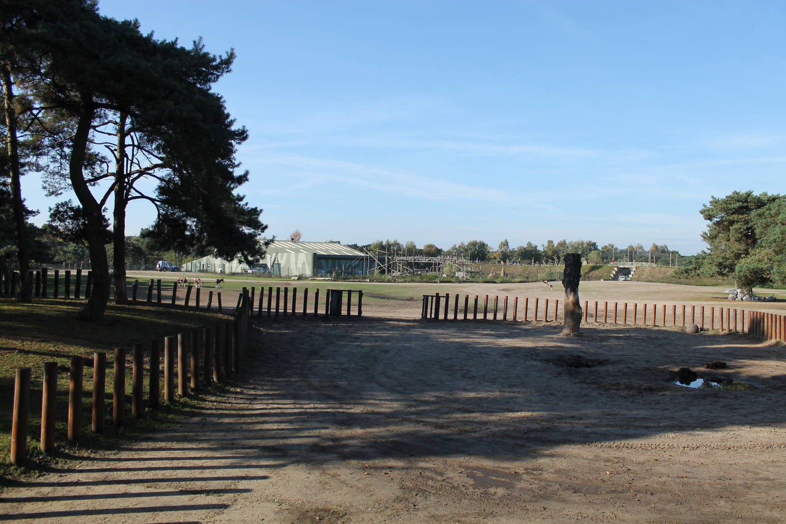 Southern white rhinoceros enclosure