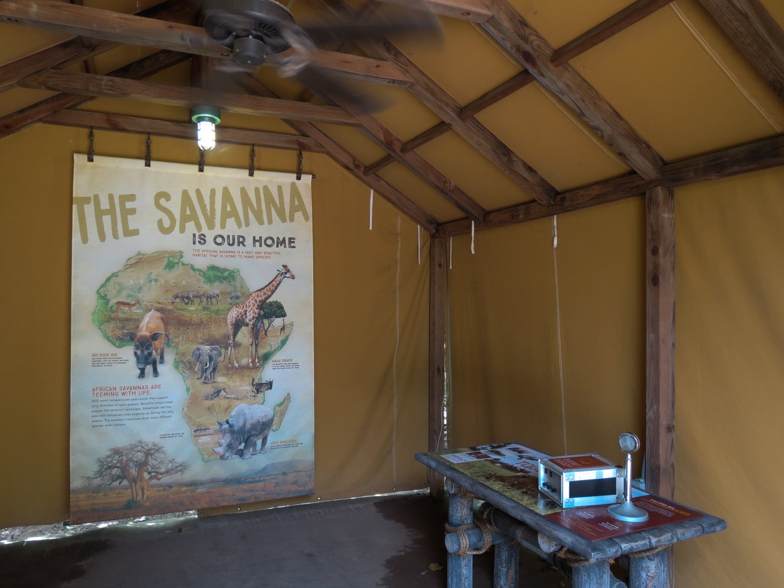 Southern White Rhinoceros Exhibit - Pathside Tent