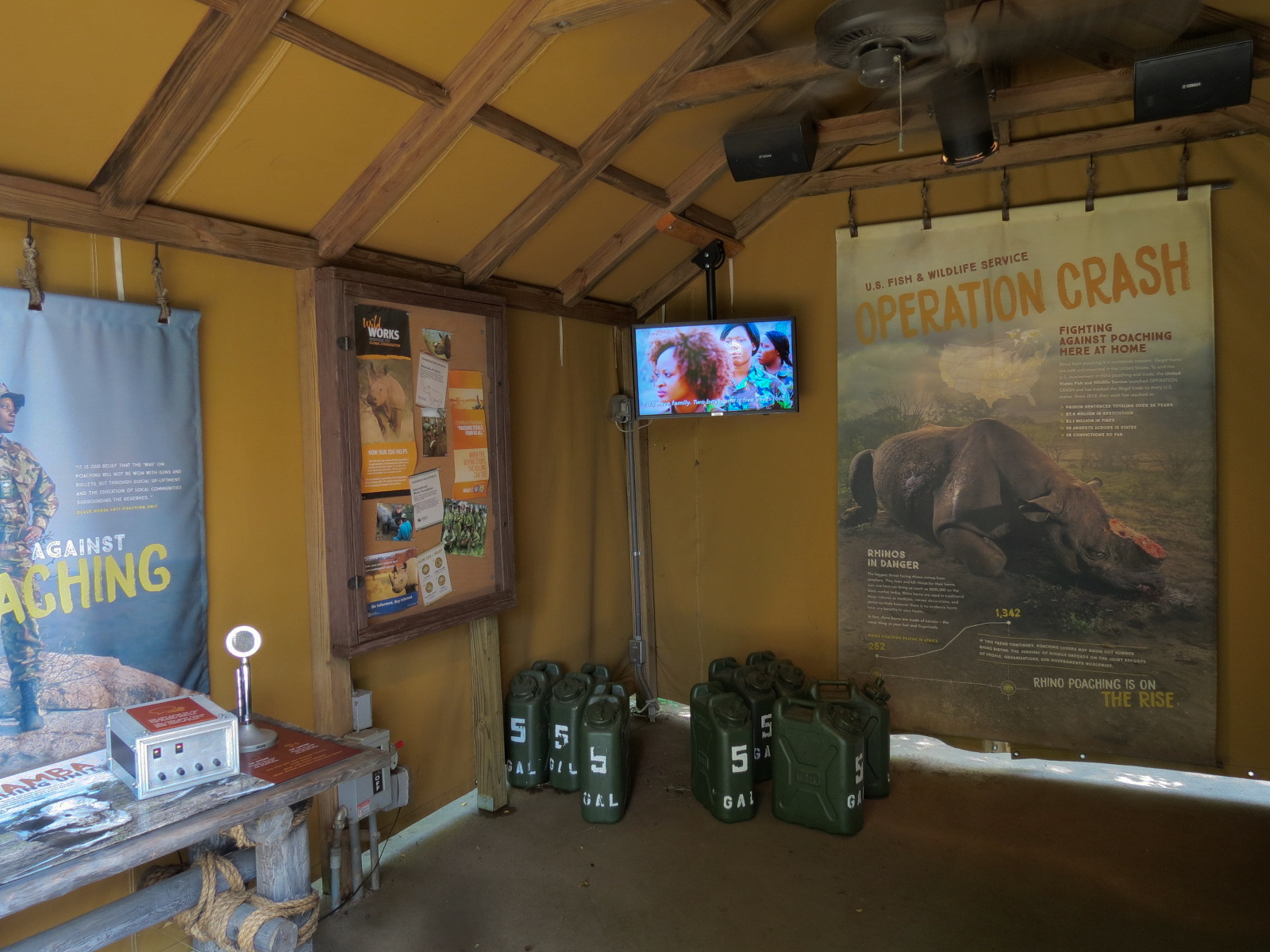 Southern White Rhinoceros Exhibit - Pathside Tent