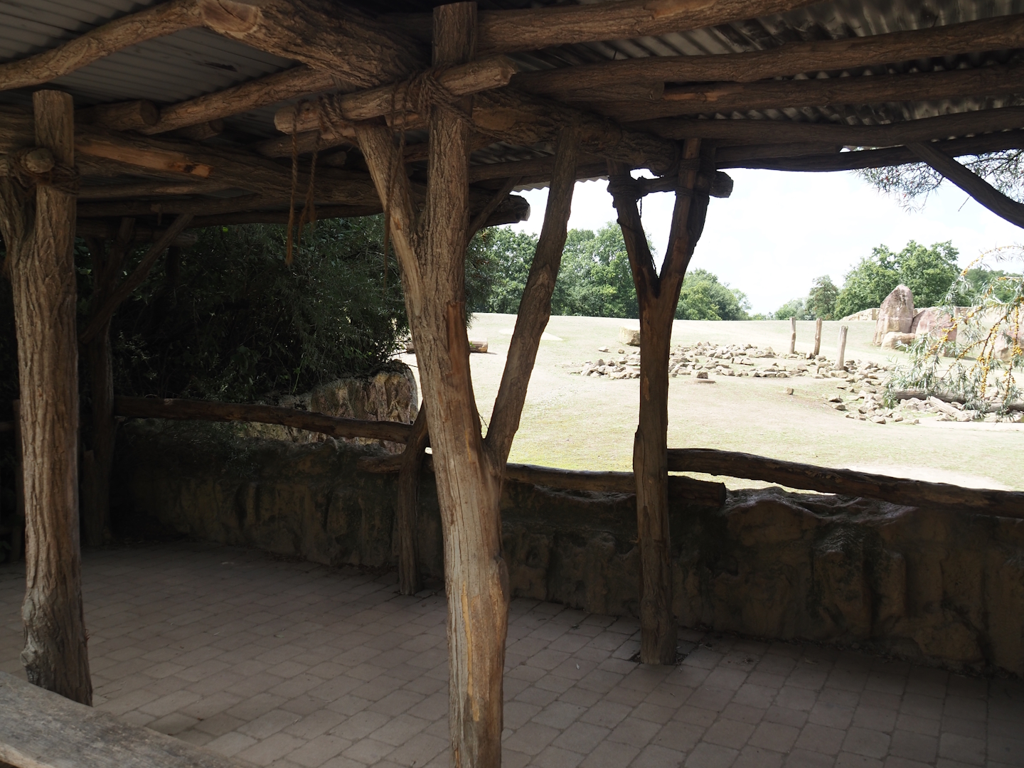 Southern white rhinoceros exhibit viewing area, 2024-08-05