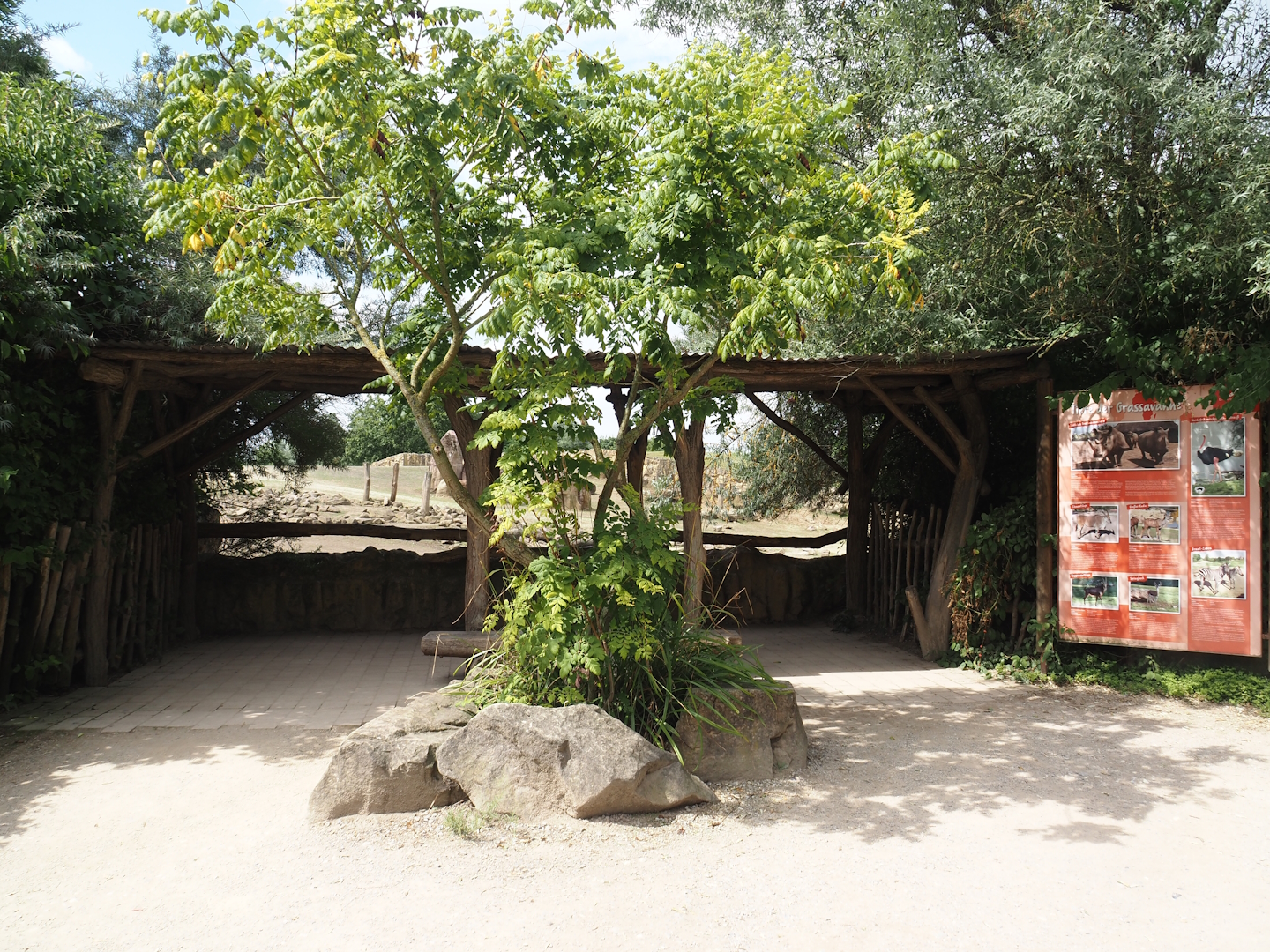 Southern white rhinoceros exhibit viewing area, 2024-08-05