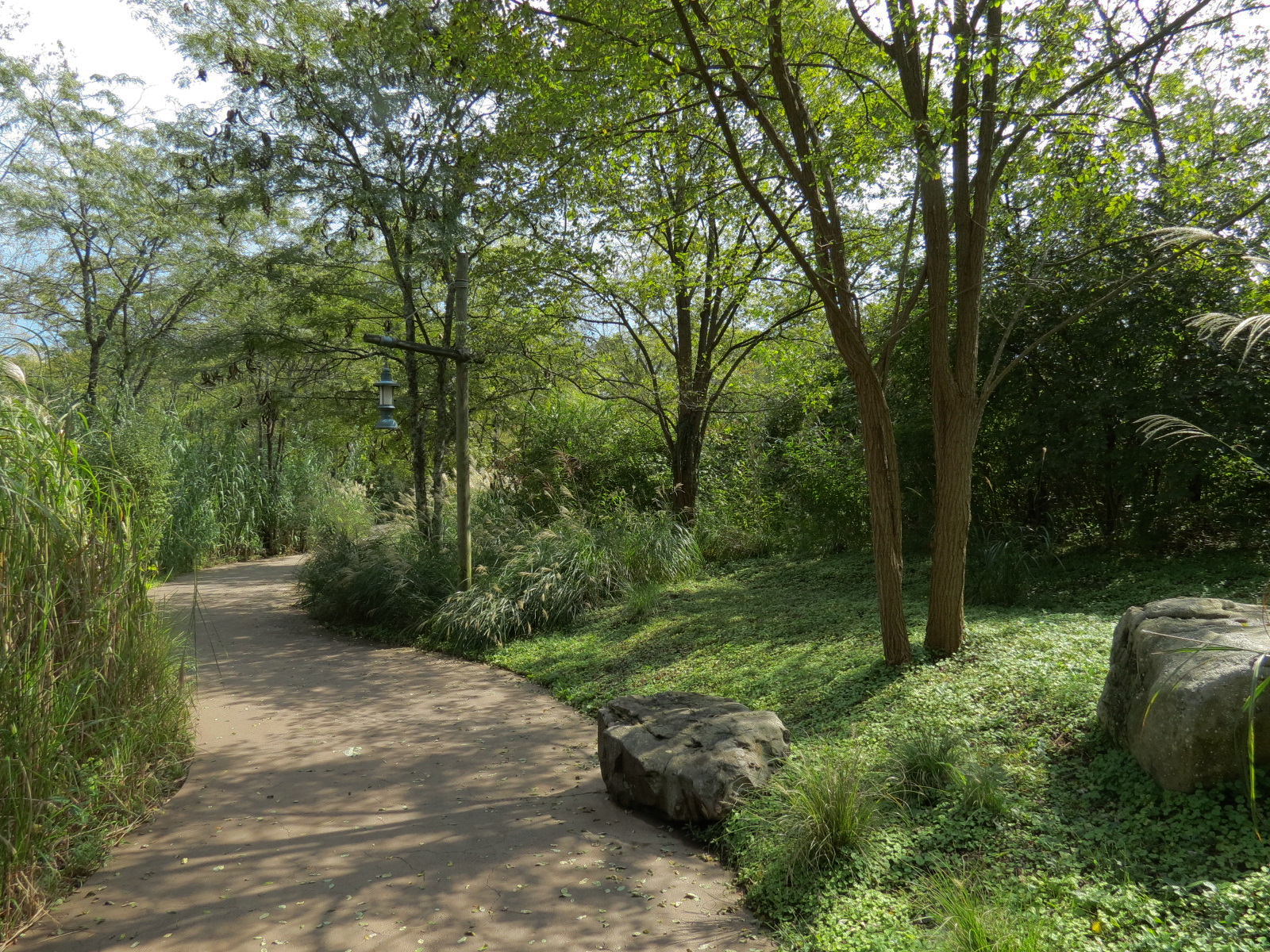 Southern White Rhinoceros Exhibit - Visitor Path