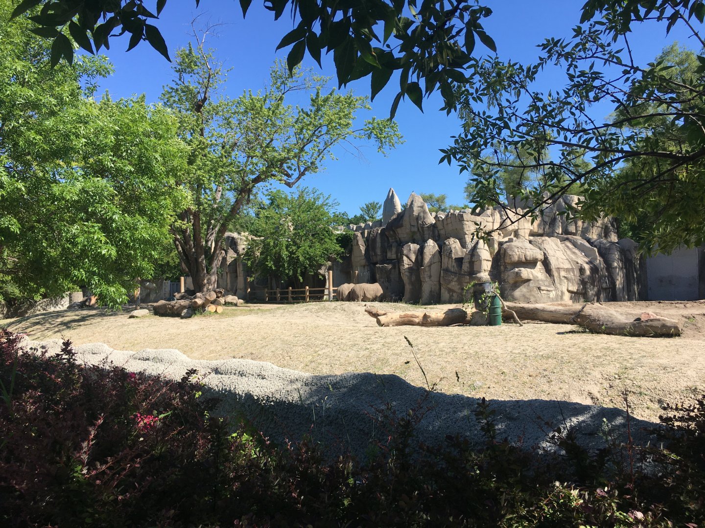 Southern White Rhinoceros Exhibit