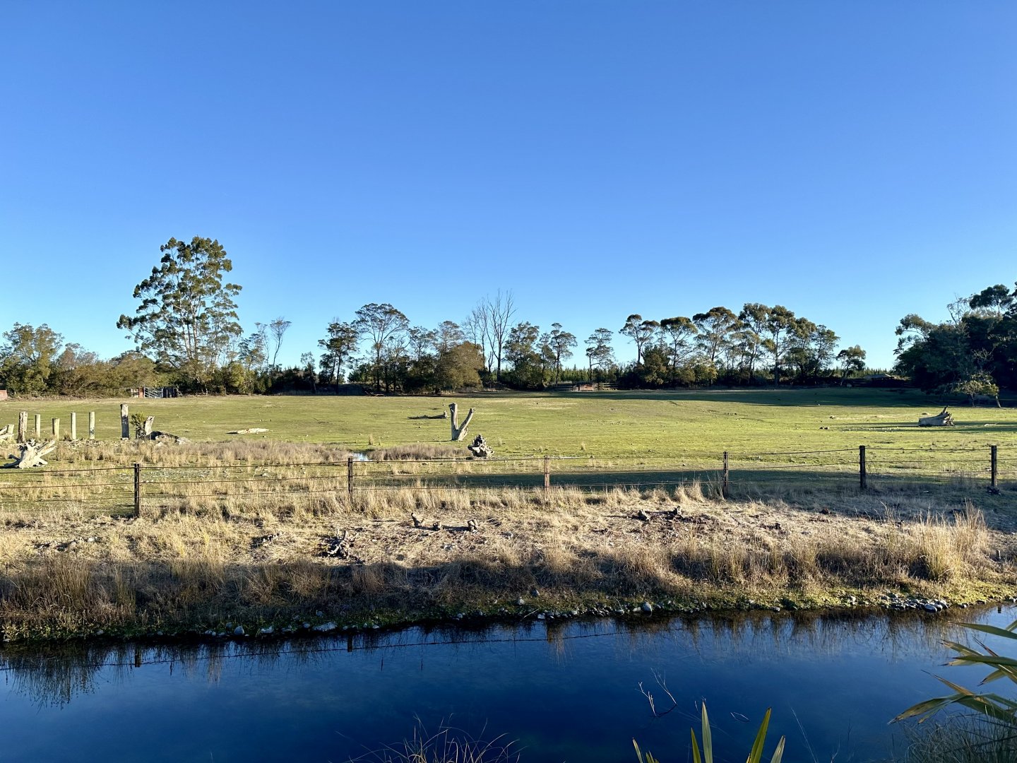 Southern White Rhinoceros Exhibit