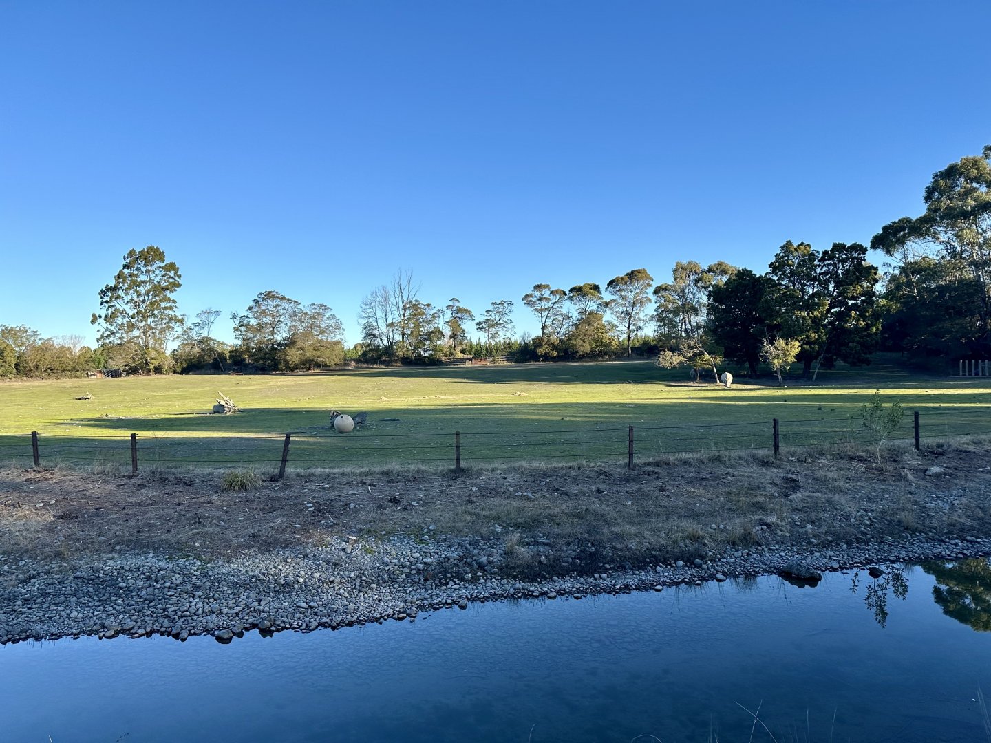 Southern White Rhinoceros Exhibit