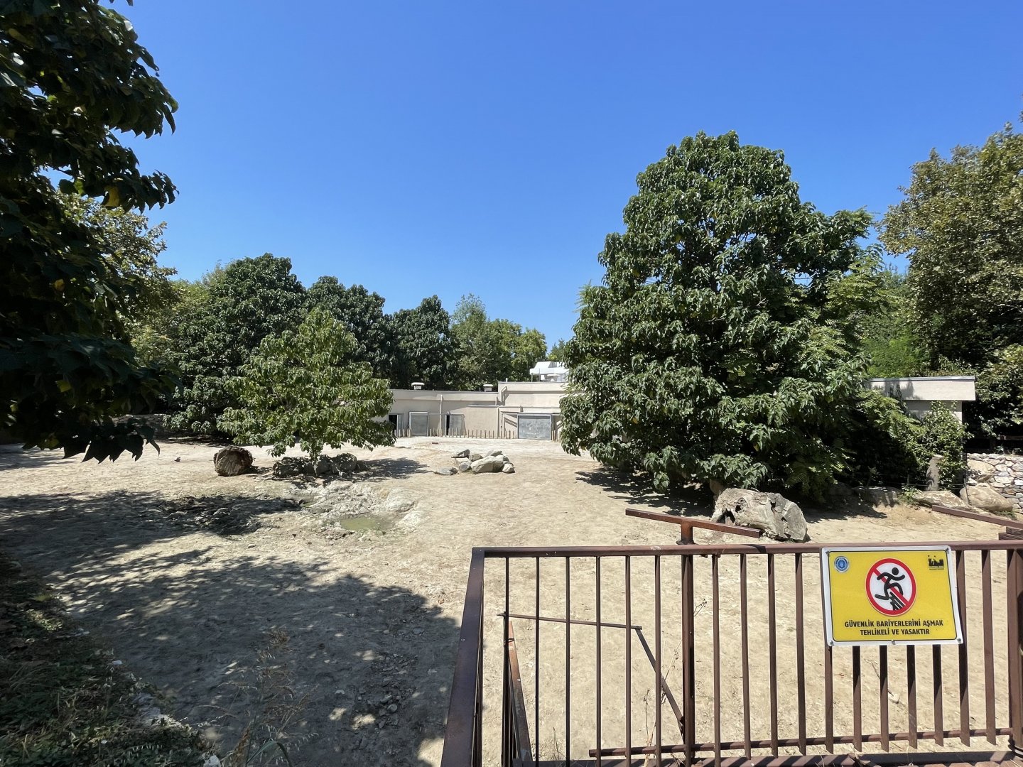 Southern white rhinoceros exhibit