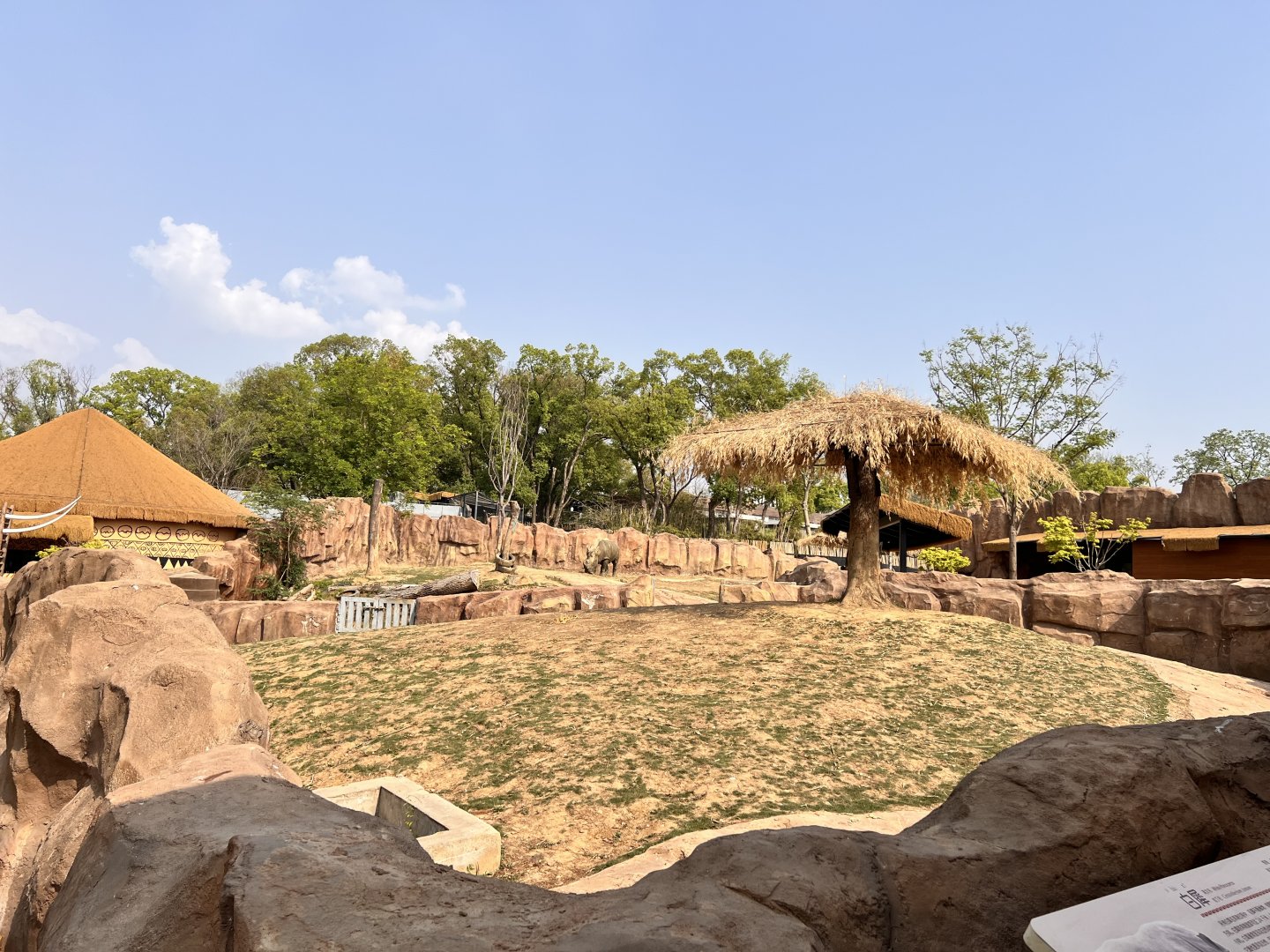 Southern White Rhinoceros Exhibit