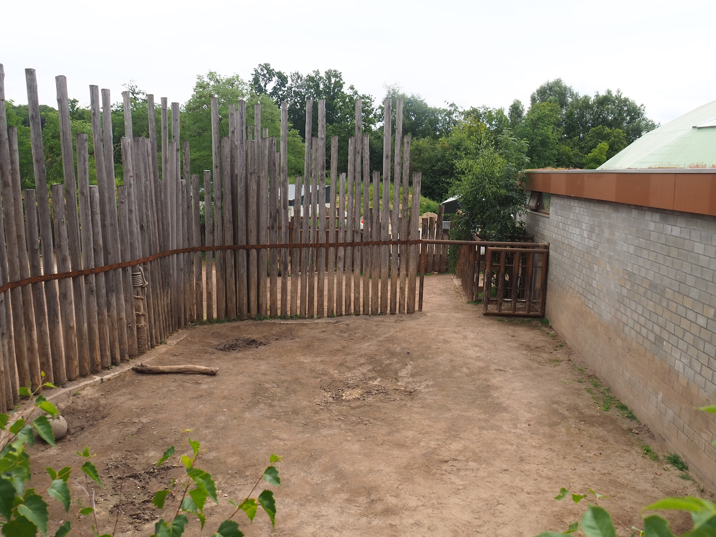 Southern white rhinoceros holding paddock, 2023-07-18