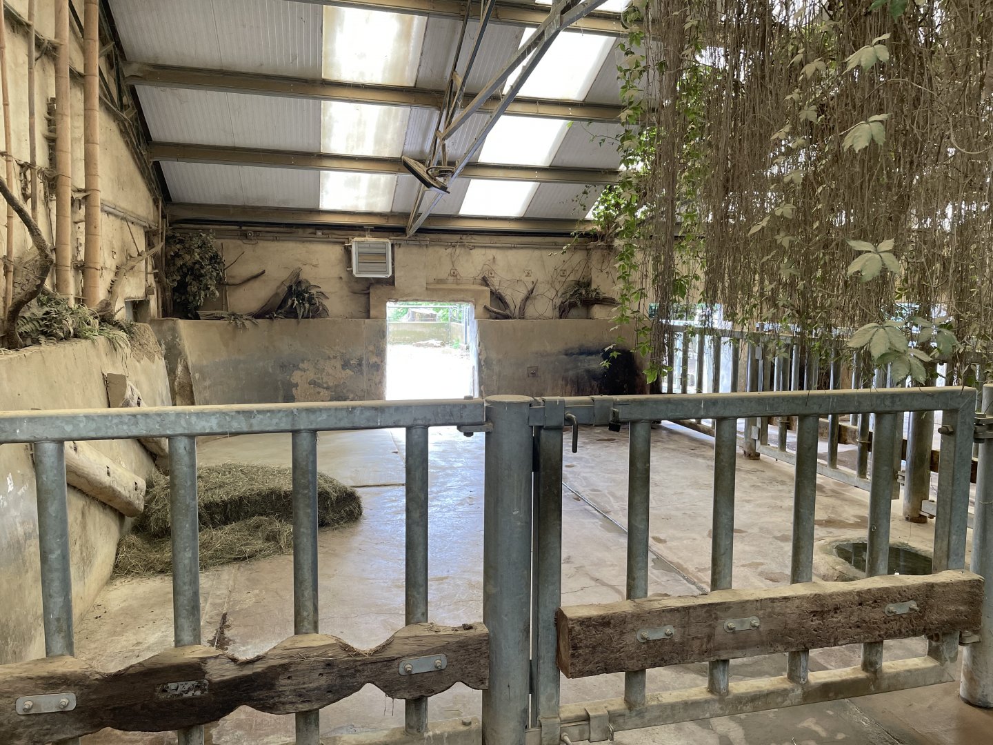 Southern White Rhinoceros House