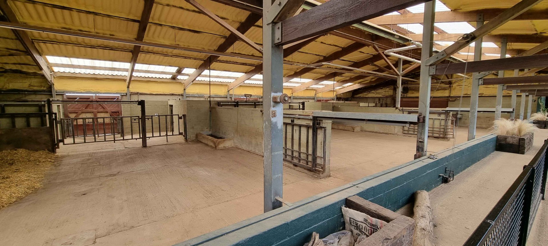 Southern White Rhinoceros Indoors