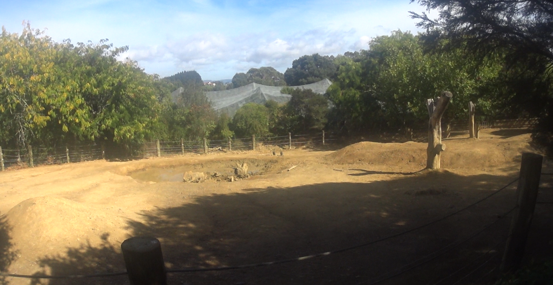 Southern White Rhinoceros night paddock